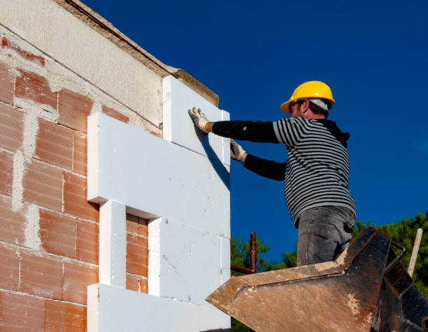 Best Best Insulation Companies  in Albion, NY