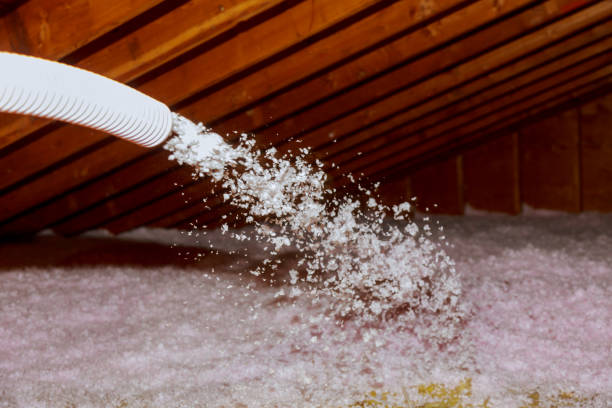 Best Attic Insulation Installation  in Albion, NY