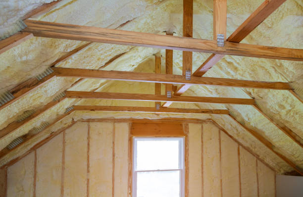 Best Local Insulation Services  in Albion, NY