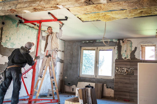 Best Insulation Contractors for Homes  in Albion, NY