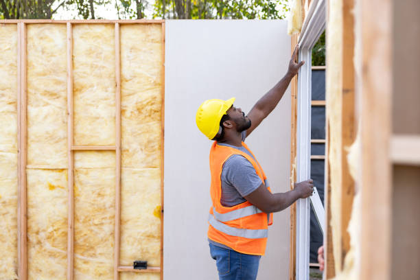 Best Cellulose Insulation  in Albion, NY