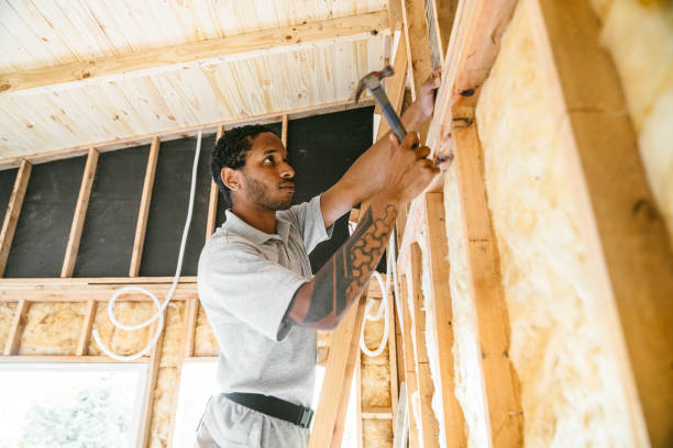 Best Blown-in Insulation  in Albion, NY
