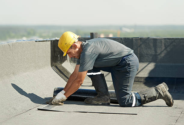 Best Soundproof Insulation Installation  in Albion, NY